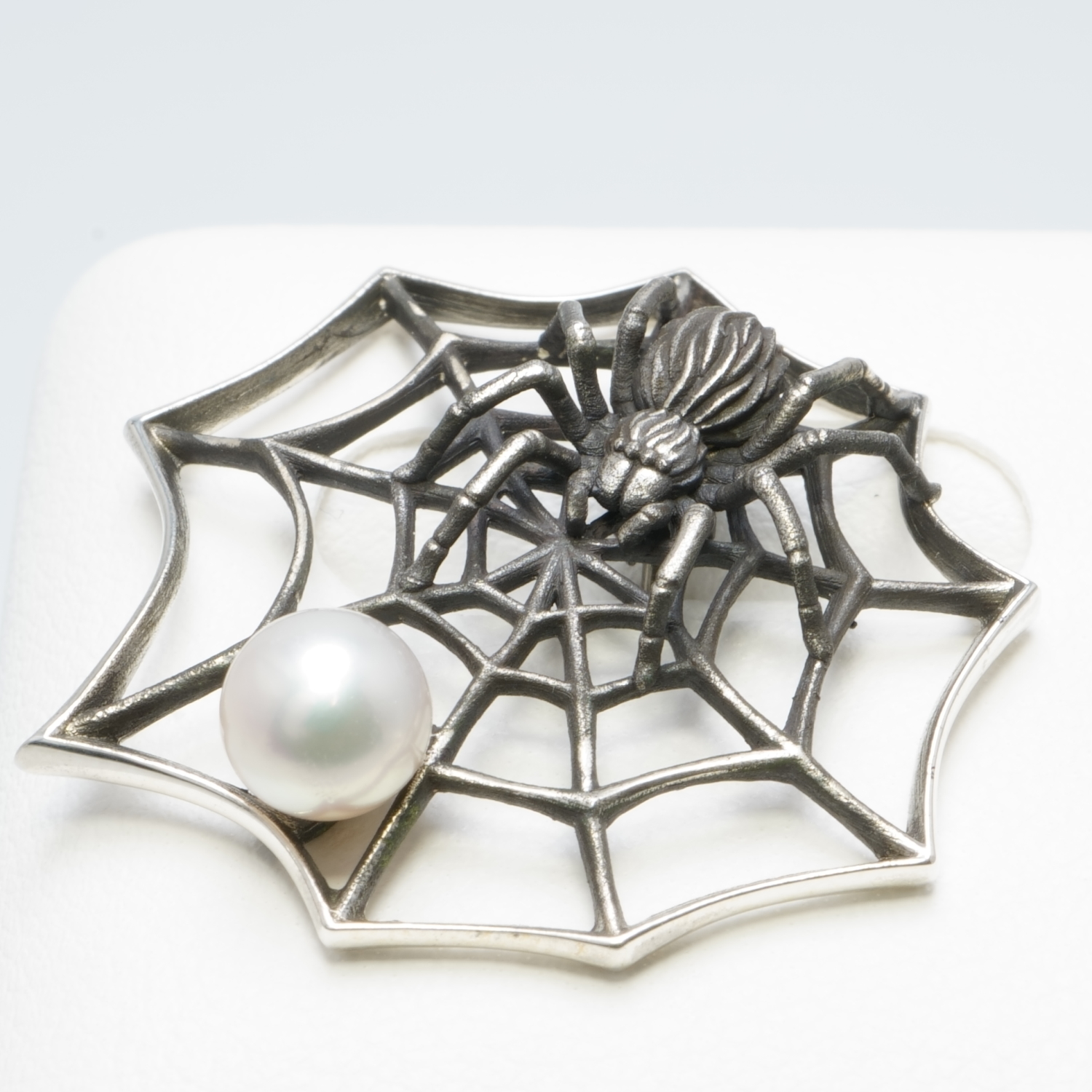 10221542_蜘蛛_いぶし銀