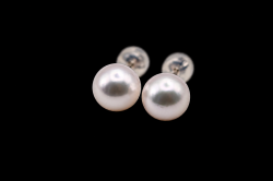 8.0mm あこや真珠ピアス 平置き写真